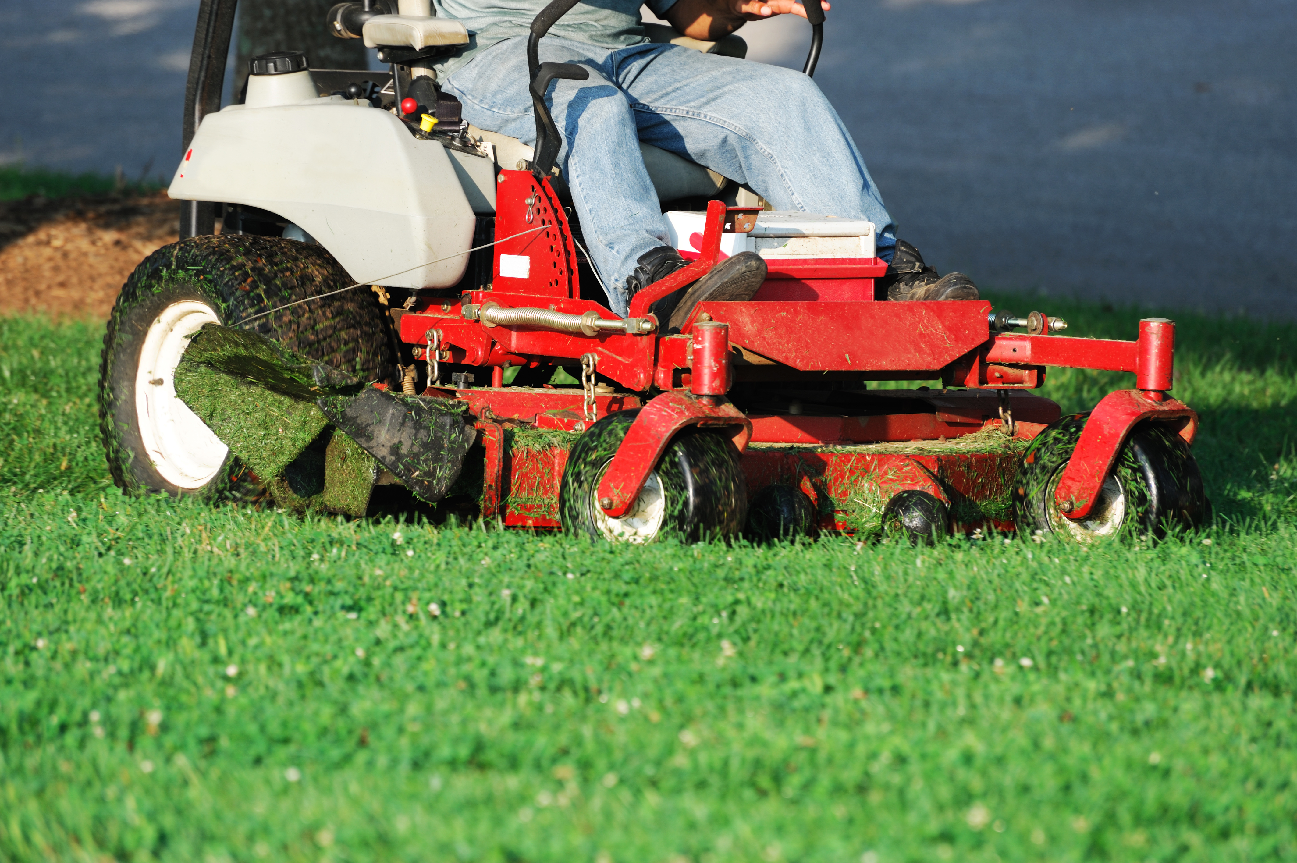 lawn service cutting grass in Brentwood mo